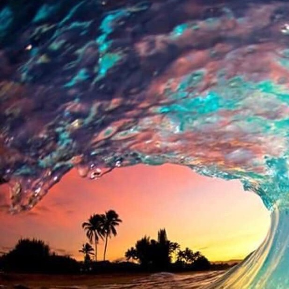 Meet your Posher, Shanel - Picture 1 of 1